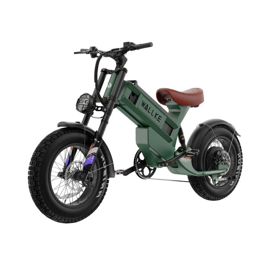 WAllke R60