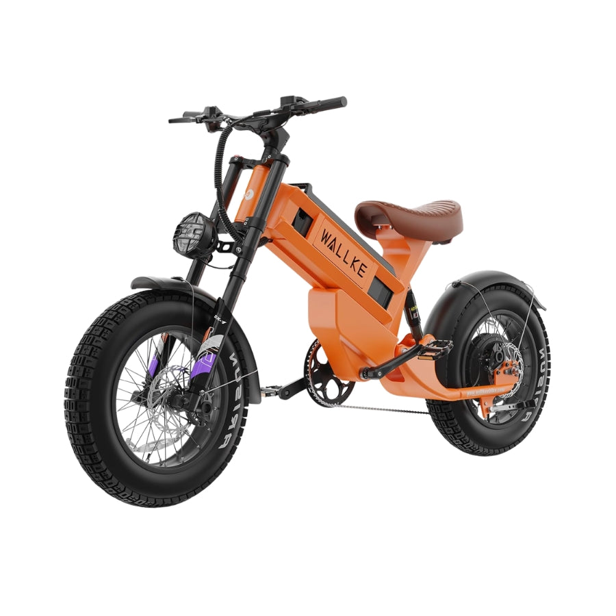 WAllke R60