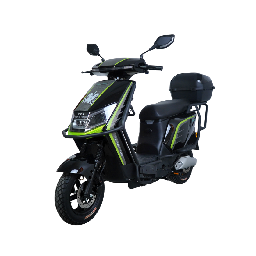 Scooter Style E-Bike - EFFI Bike