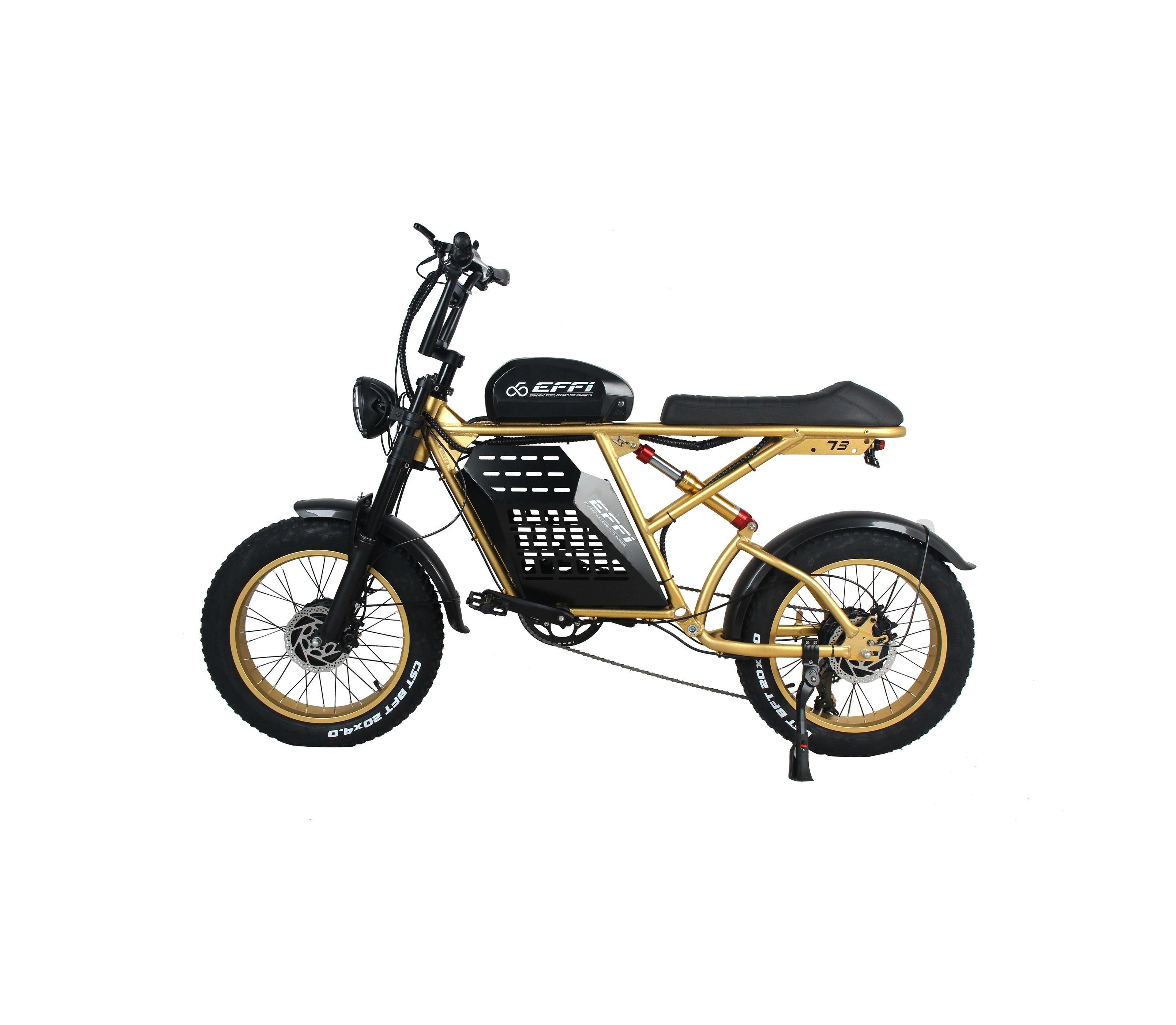 Off Road E-Bike - EFFI Bike