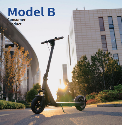 Model B