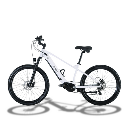 EFFI 26MD 26 Inch Mountain Electric Bicycle