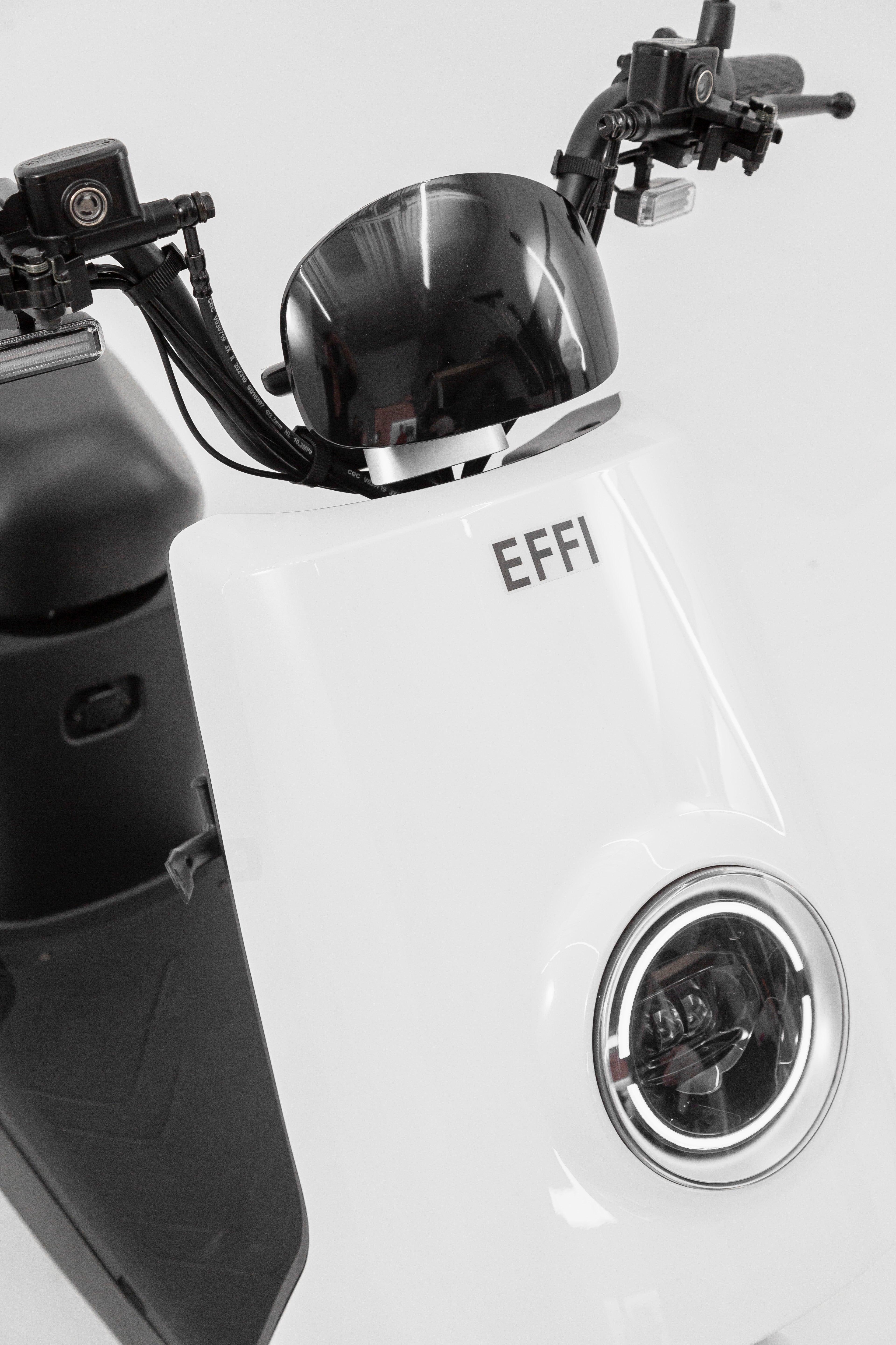 Terrain Master - EFFI Bike