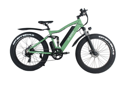 EFFI S500 Mountain Electric Bicycle