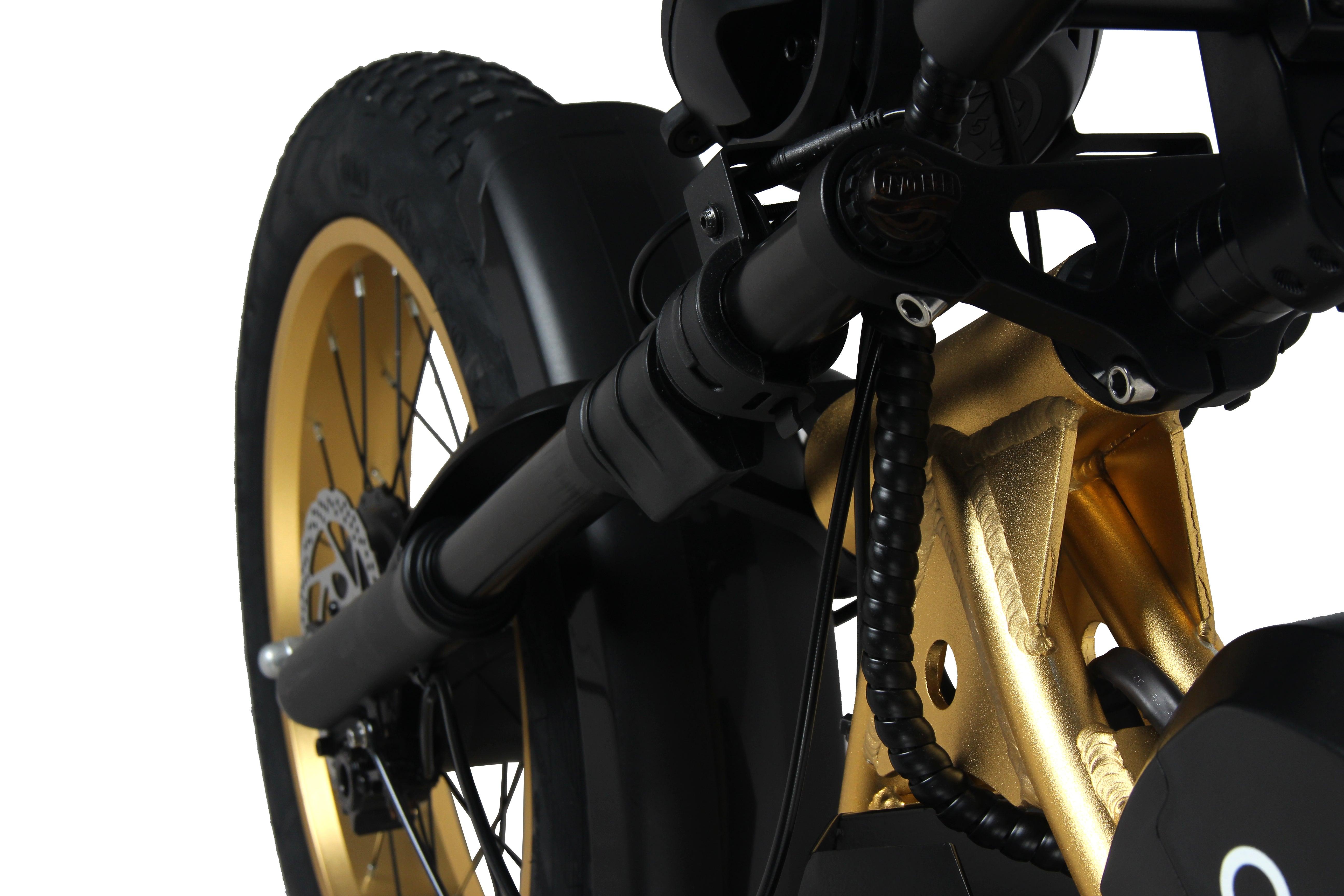 EFFI MDM-S500 Mountain Electric Bicycle gold - EFFI Bike