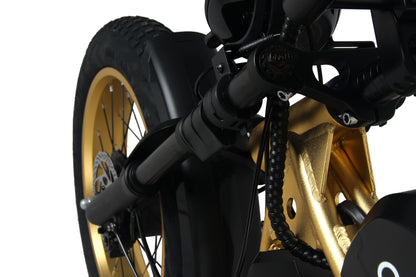 EFFI MDM-S500 Mountain Electric Bicycle gold - EFFI Bike
