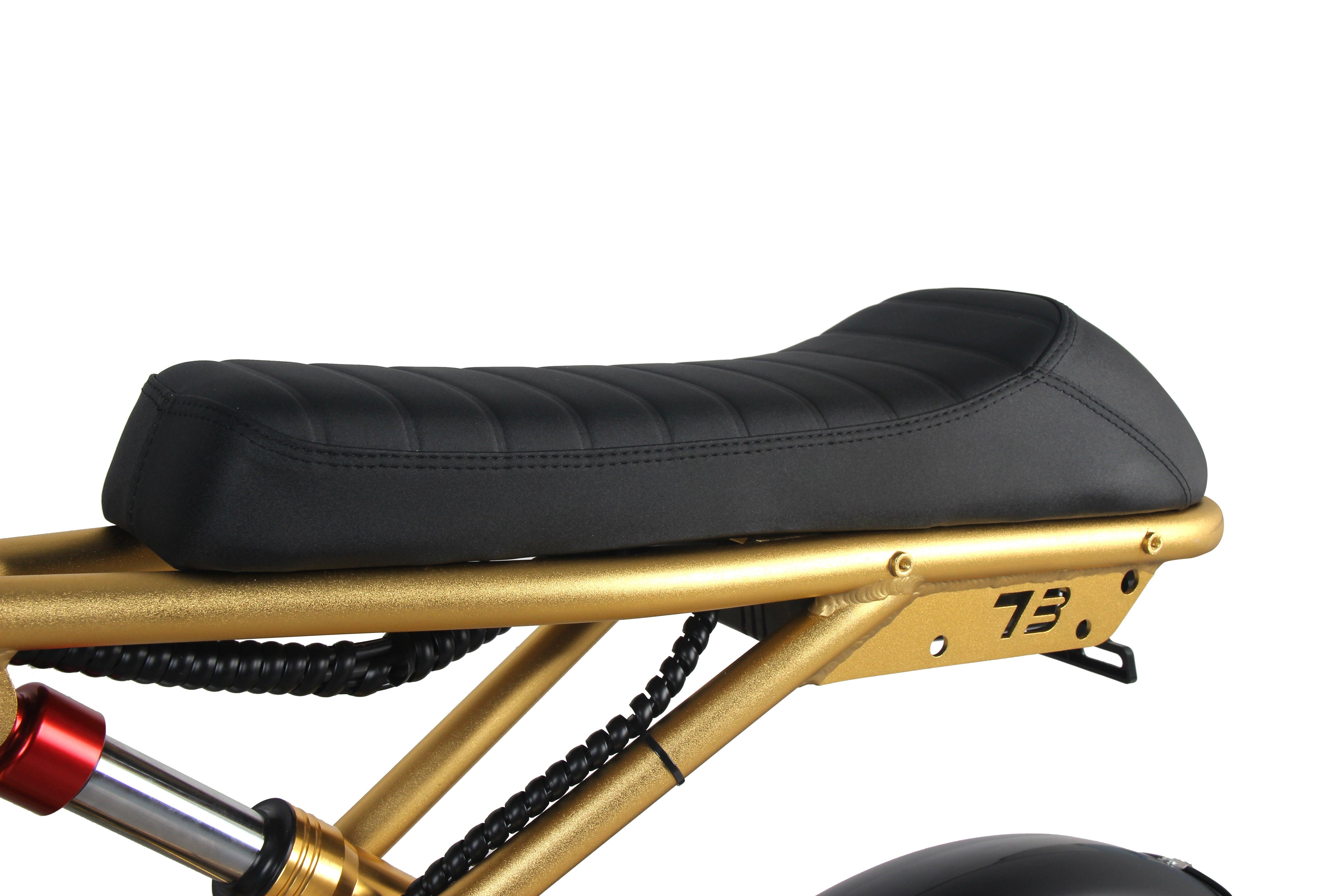 EFFI MDM-S500 Mountain Electric Bicycle gold - EFFI Bike