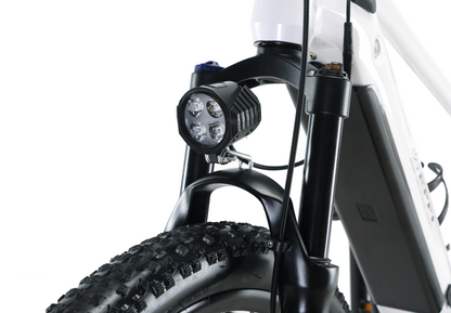 EFFI 26MD 26 Inch Mountain Electric Bicycle