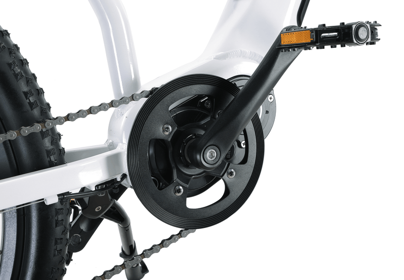 EFFI 26MD 26 Inch Mountain Electric Bicycle - EFFI Bike