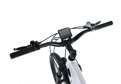 EFFI 26MD 26 Inch Mountain Electric Bicycle