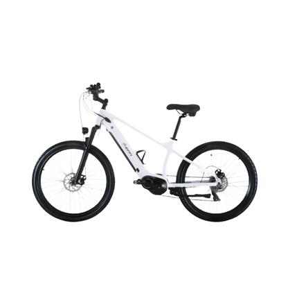 White bicycle with black components on a white background