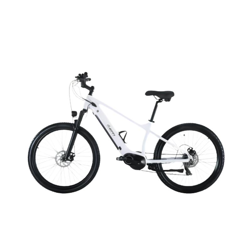 White bicycle with black components on a white background