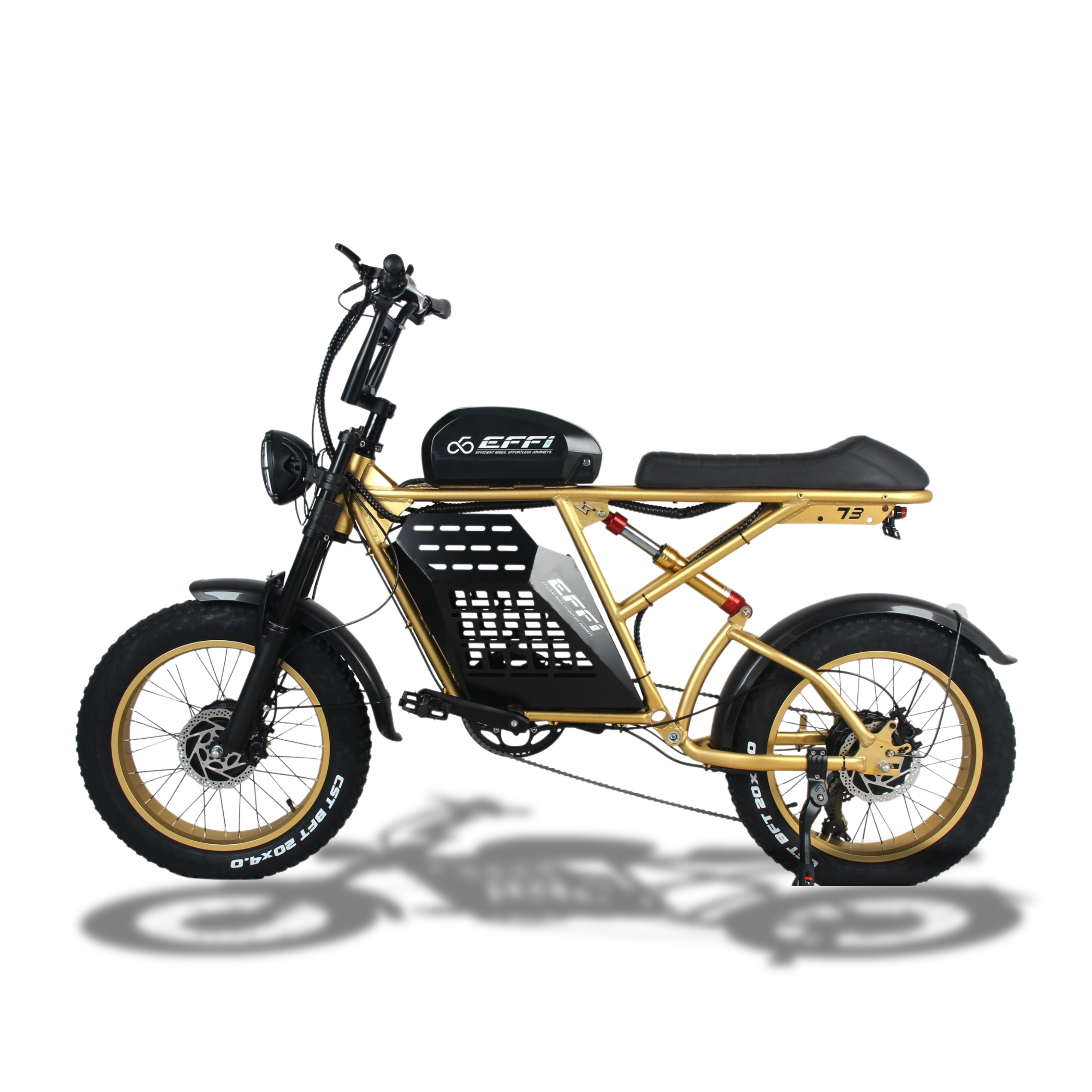 EFFI MDM-S500 Mountain Electric Bicycle gold