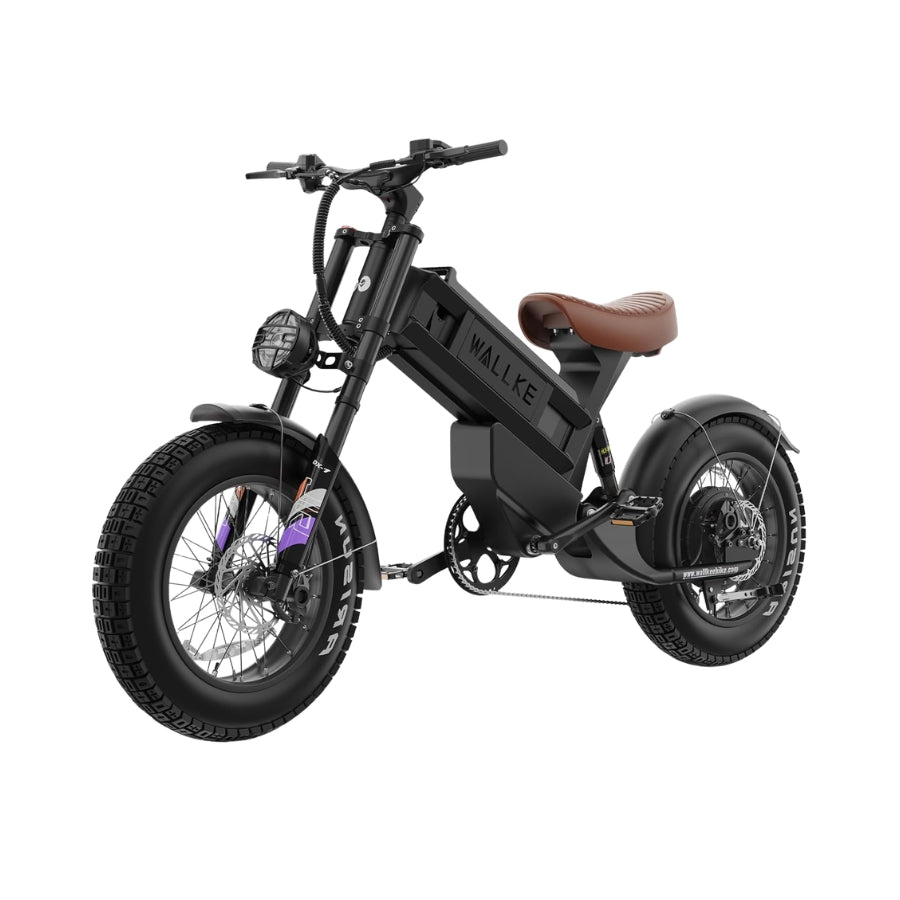 WAllke R60